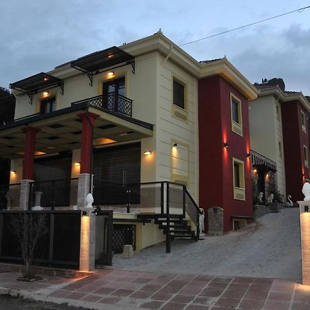 Dominique Meteora House Apartment Калампака Екстериор снимка